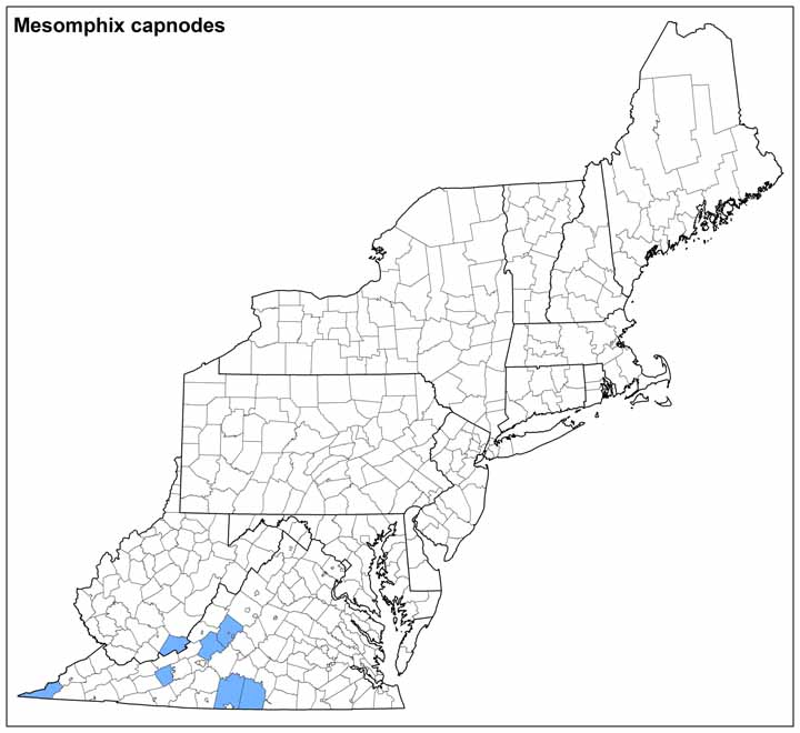 Mesomphix capnodes Range Map